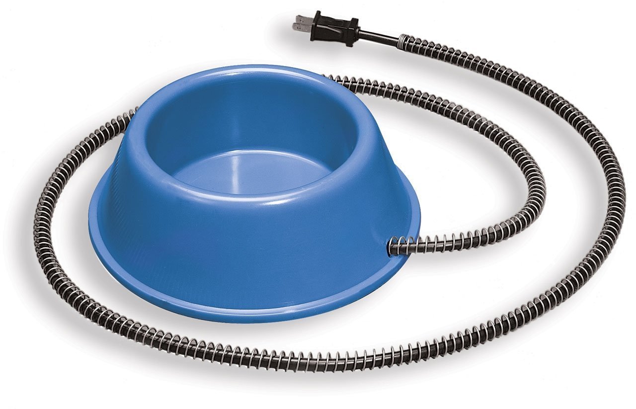 electric dog bowl